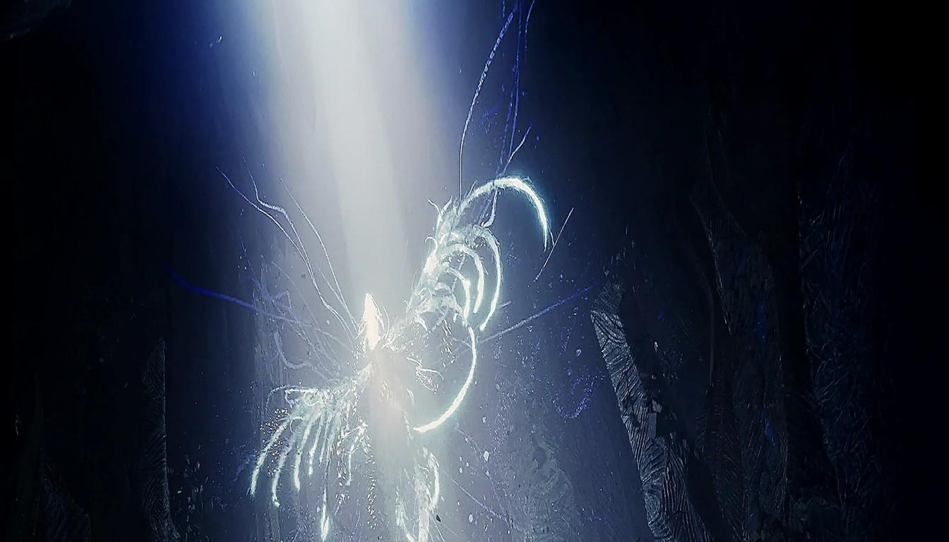 A beam of light falling into a dark chasm onto a glowing creature