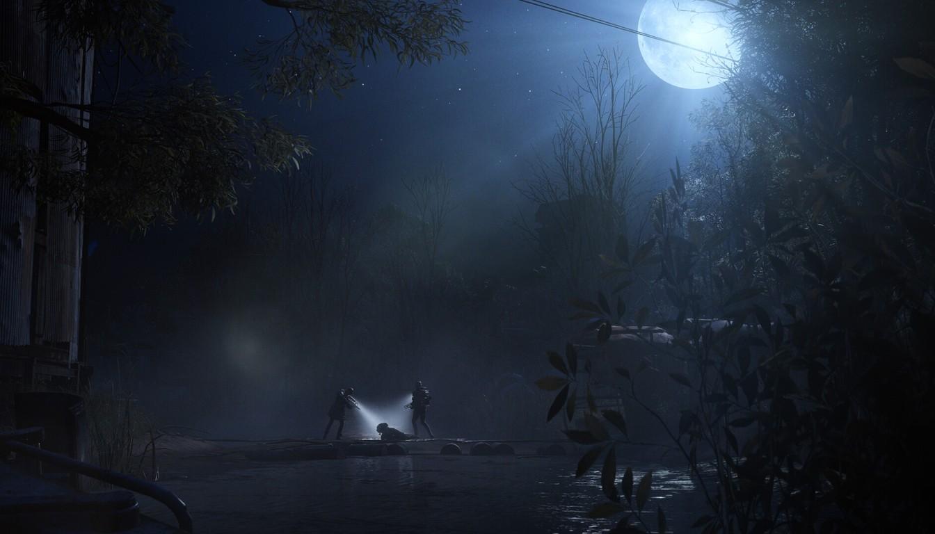 A moonlit night over a marshy hollow with a distant flashlight glow