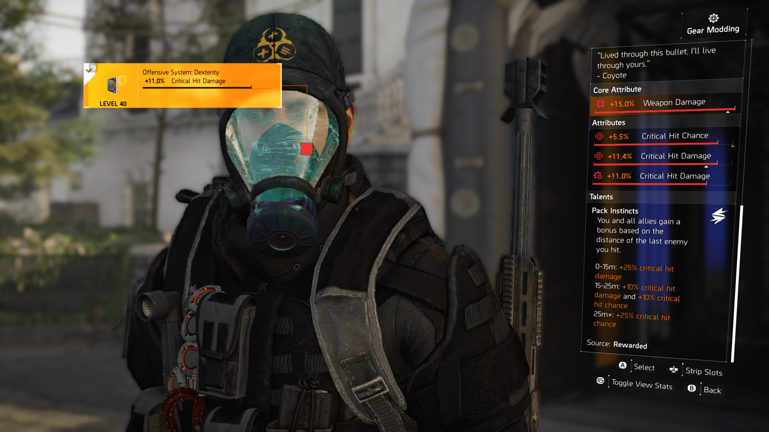 Coyote's Mask