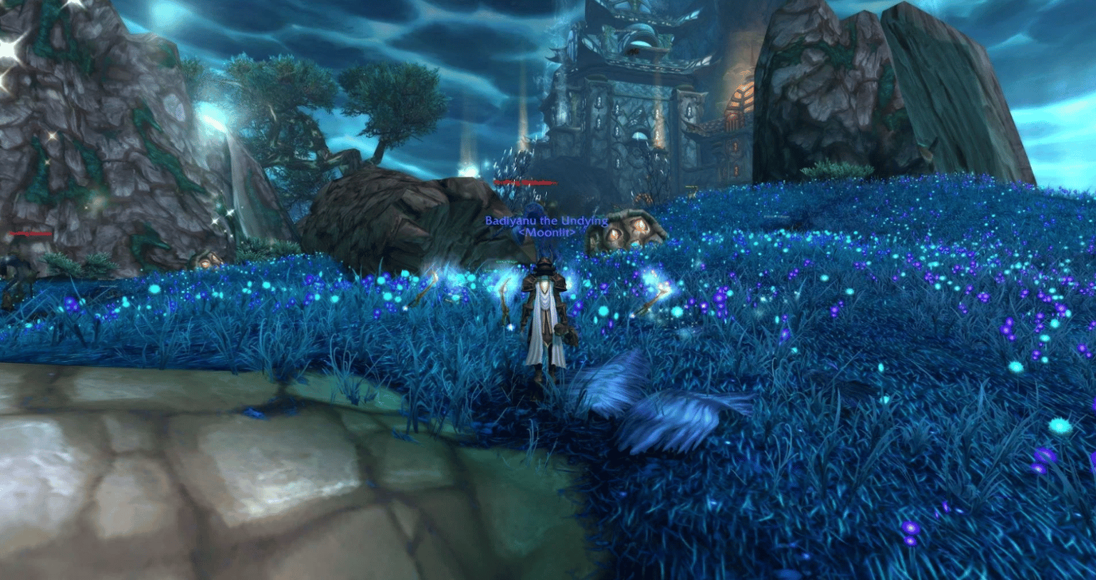 Leveling Guide