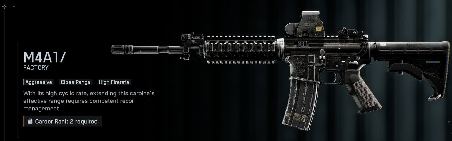 Best Loadouts