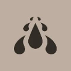 Lady Geist Guide