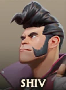 Shiv Гайд