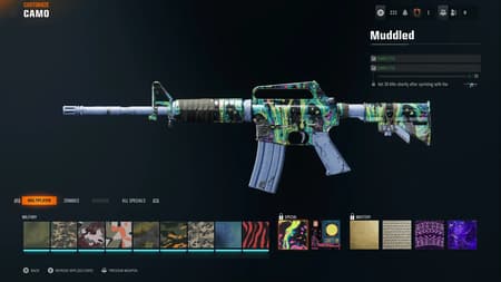 Guide to Unlocking Camos