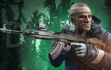Shoreline Raid image