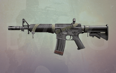 Any Assault Rifle 1-55 Leveling image
