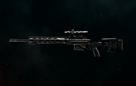 Sniper Rifle Leveling image