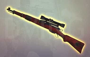 Swiss K31 - Bundle image