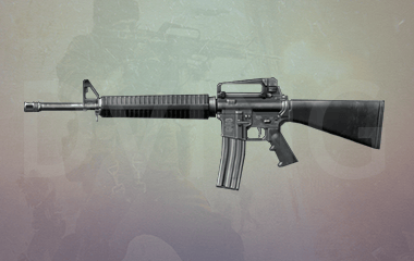 Any Tactical Rifle 1-55 Leveling image