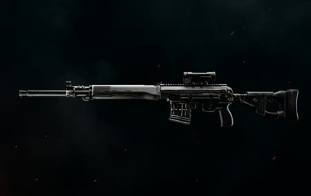 DMR Leveling image