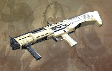 Weapon max level boost CoD MW image