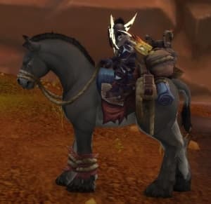 Terrified Pack Mule background