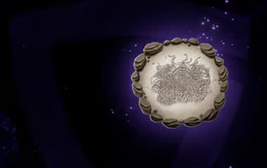 Игнеевые жетоны background