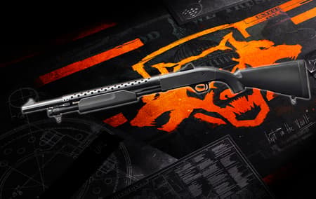 Shotguns Leveling background