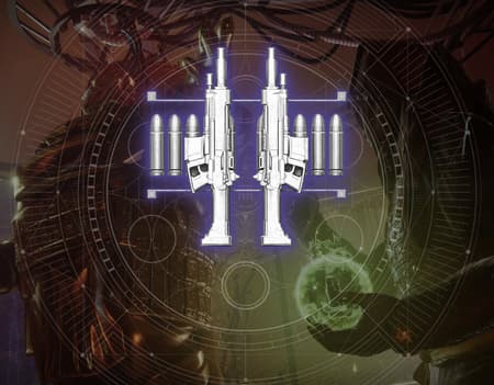 Duality weapon bundle image