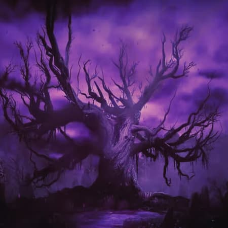 The Coven Reputation