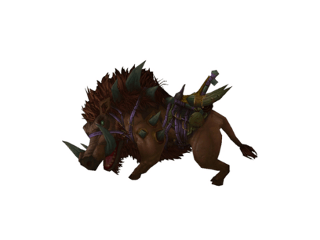 Domesticated Razorback background