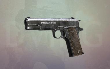Any Pistol 1-35 Leveling image